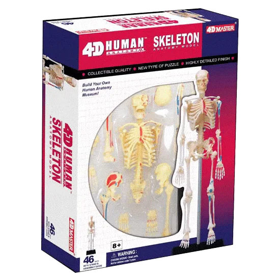 Sustainable Wooden Educational Toys with Counting and Number Recognition Elements4D Vision - Anatomy Puzzle Human Skeleton