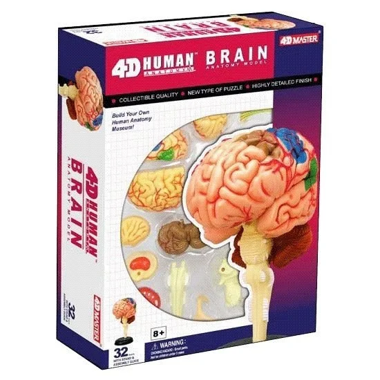 High - Grade Solid Wood Educational Toys for Improving Hand - Eye Coordination4D Vision Puzzle - Brain