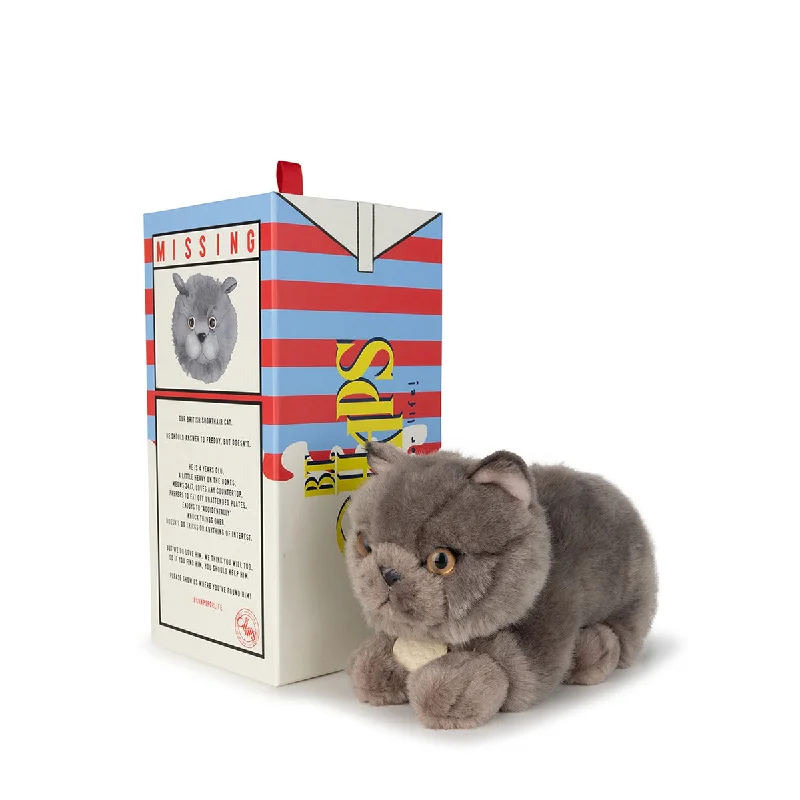 Plush Fairy Toys with Transparent Wings for Magical StorytellingB.T. Chaps  Freddy The British Shorthair in Giftbox - 20cm - 8"